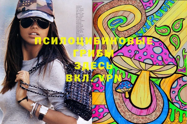 дмт Вязники