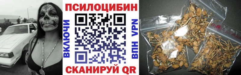 Купить закладки  Кремёнки  Галлюциногенные грибы Psilocybe 
